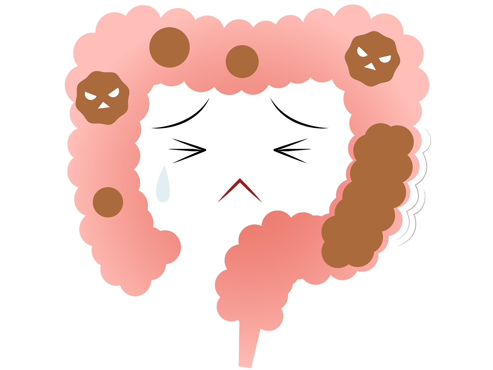 便秘になってしまったら 市販の便秘薬の種類と選び方 信州ファーマ